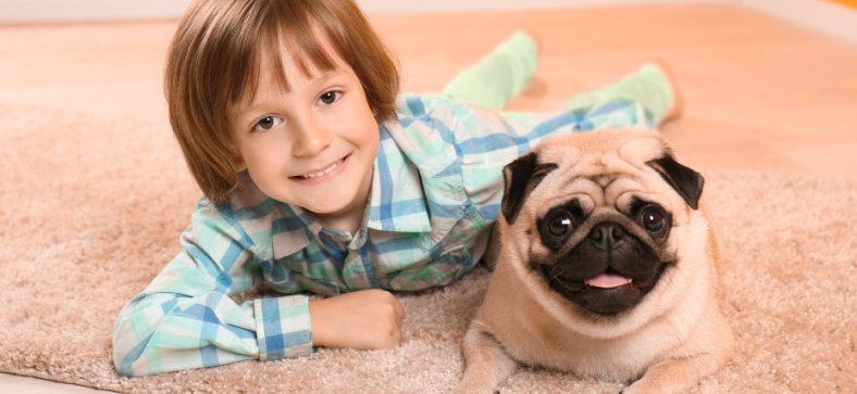 Are Pugs Good With Kids?