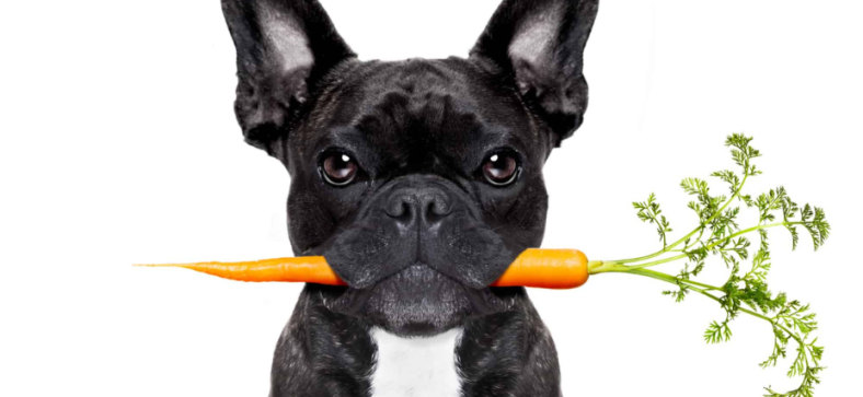 Can French Bulldogs Eat Carrots?