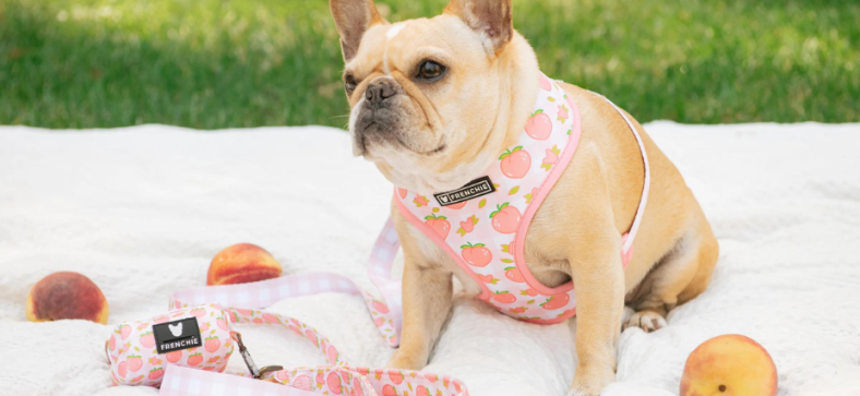 Can French Bulldogs Eat Peaches? 