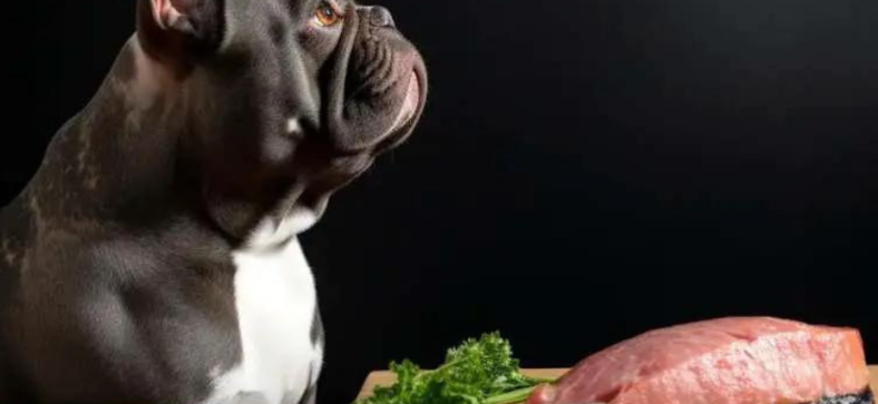 Can French Bulldogs Eat Steak?