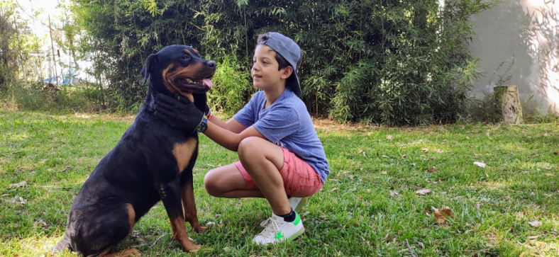 Rottweiler Interaction with Children