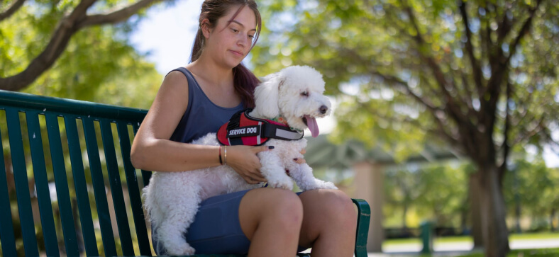 How to Train a Service dog for PTSD