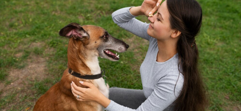 Understanding Your Dog's Body Language