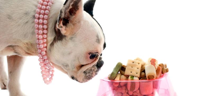 What_Can_French_Bulldogs_Eat_A_Comprehensive_Guide.png