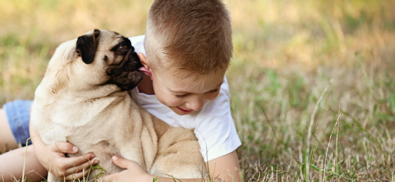 Why do pugs lick so much?
