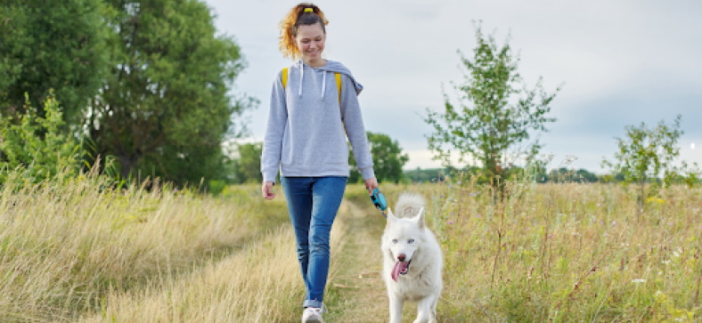 10 Things Veterinarians Say Never to Do When Walking Your Dog