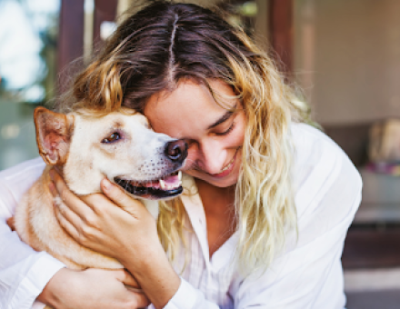 Perfect Pet Boarding Facility in Seattle