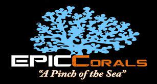 EPIC_CORAL_1