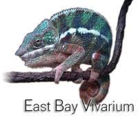 East_Bay_Vivarium