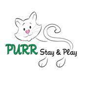 Purr_Stay_and_Play