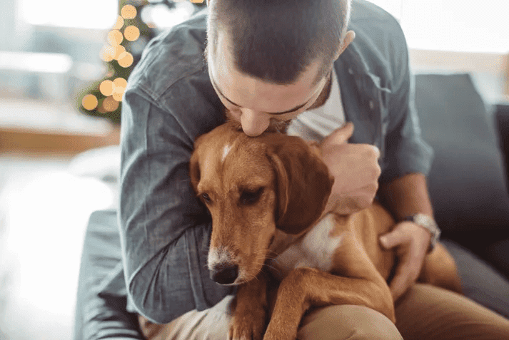 treatments for pet problems