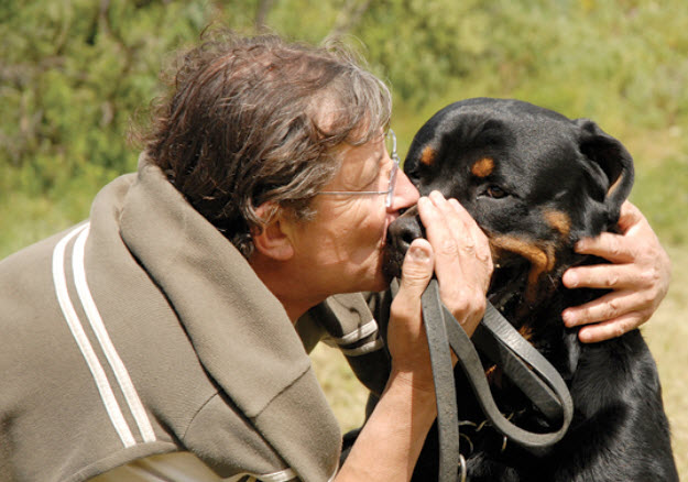 Rottweiler Dental Health