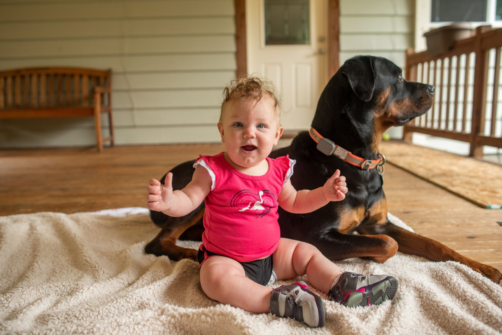 Rottweiler Interaction with Children