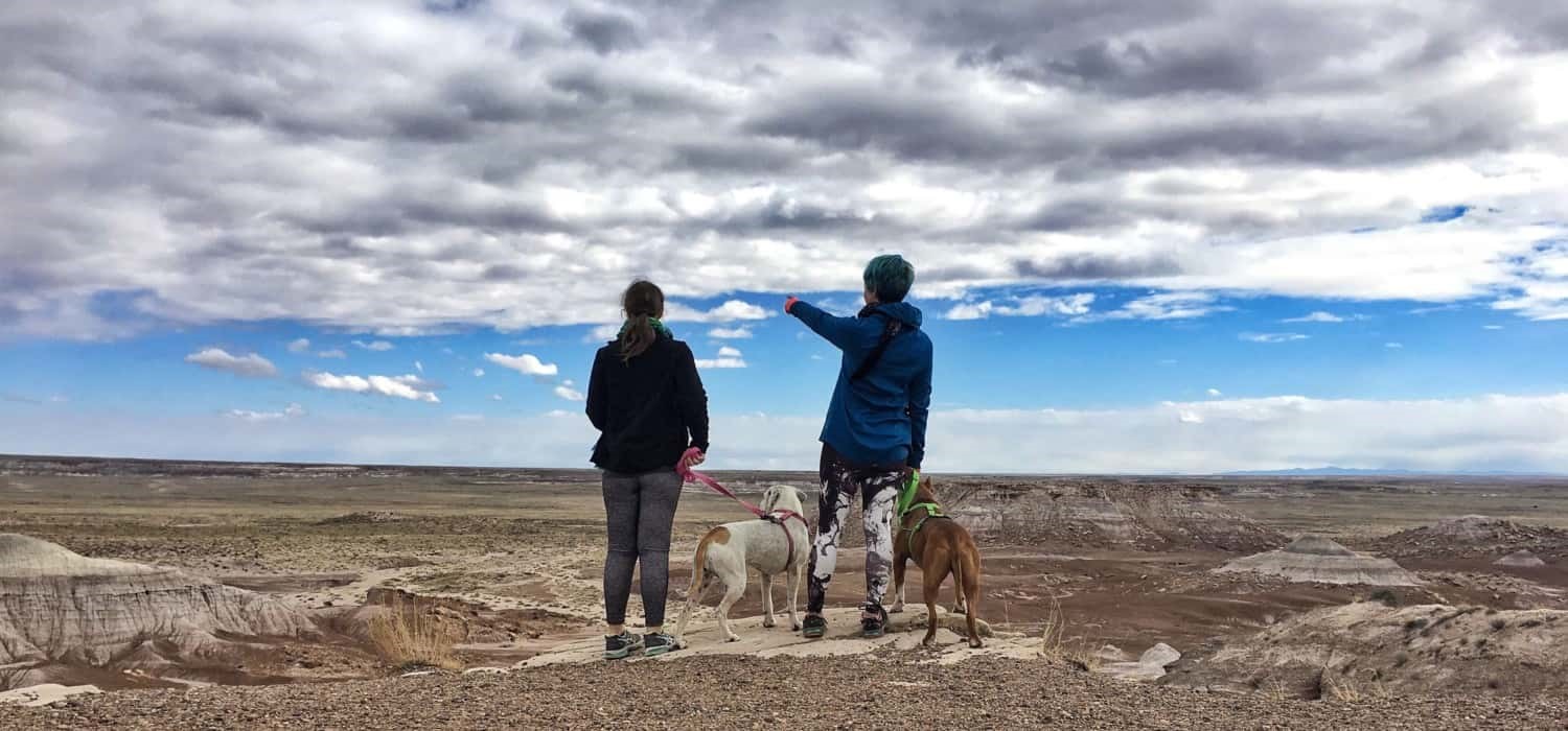 Petrified Forest National Park, Arizona 