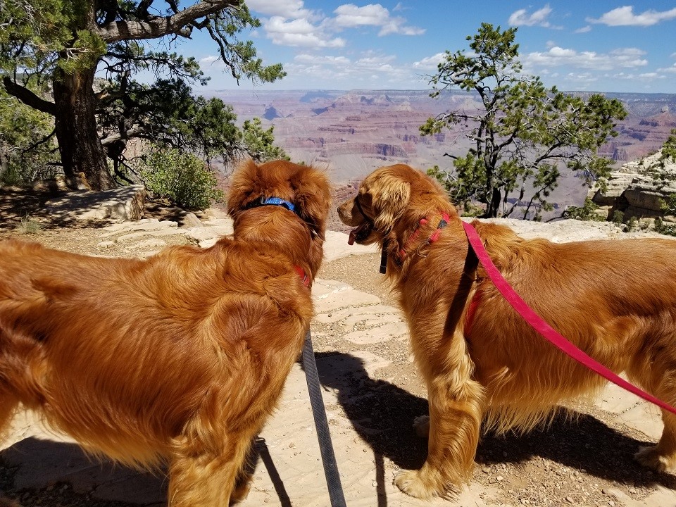 Grand Canyon National Park, Arizona 