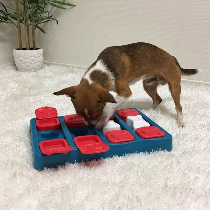 Outward Hound Nina Ottosson Dog Brick Puzzle Toy 