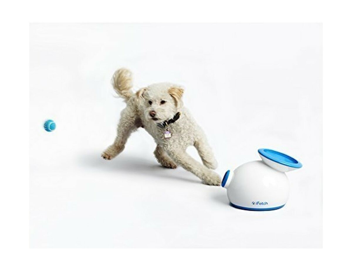 iFetch Interactive Ball Launcher 