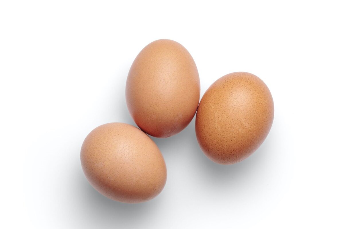 eggs