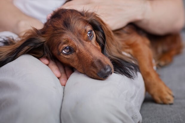 Managing Behavior During the Visit 