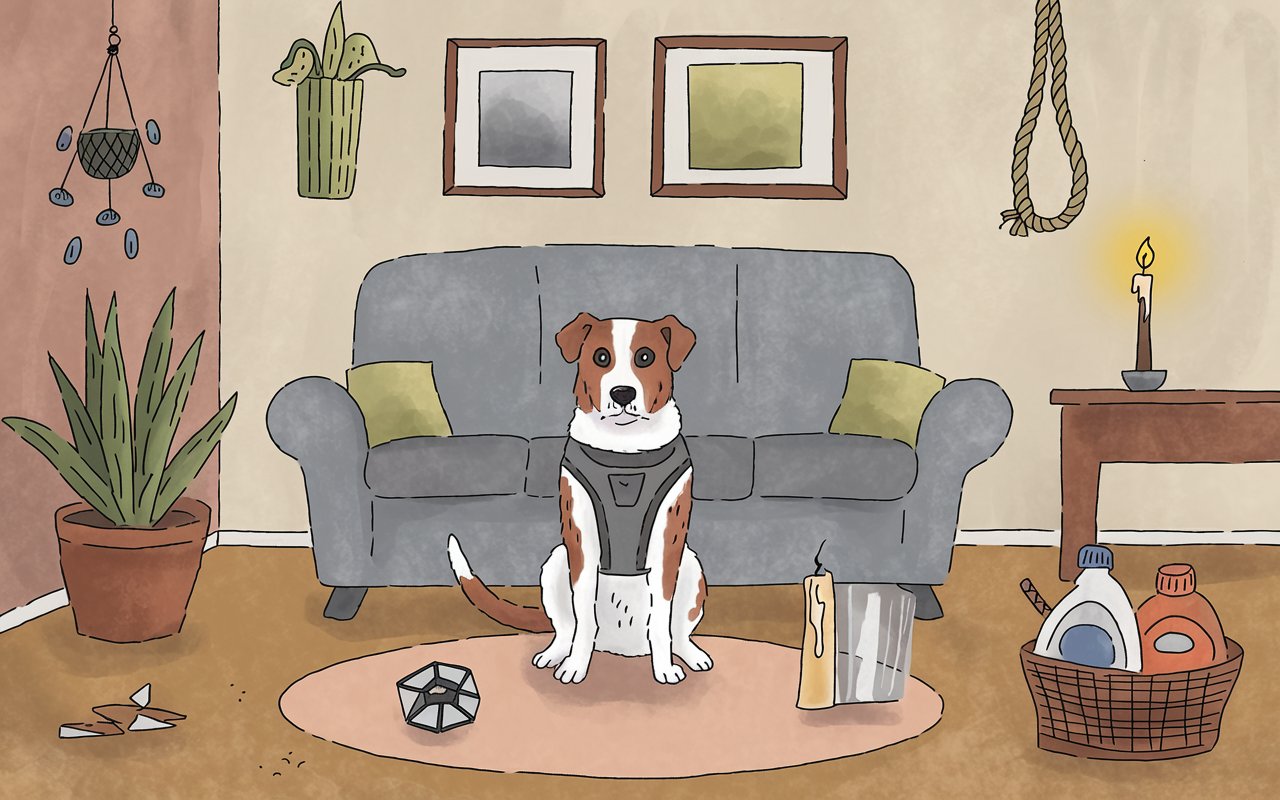 Identifying Hidden Household Hazards For Dogs: Keep Your Pet Safe